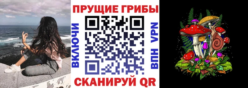 Галлюциногенные грибы Cubensis  Переславль-Залесский 